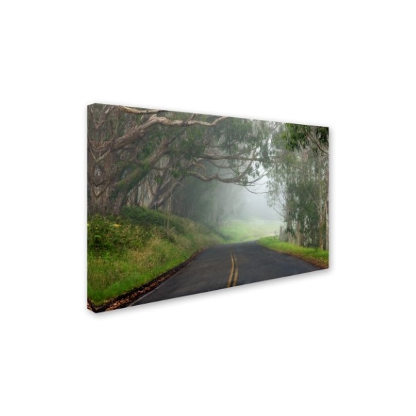 Mike Jones Photo 'Foggy Road Near Dillon Beach' Canvas Art,22x32